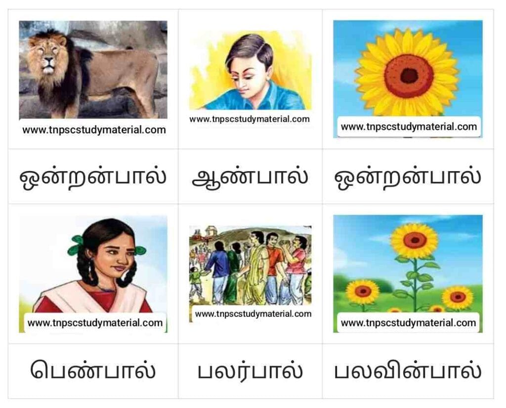 7th Tamil Book Back Solutions Chapter 2.5 நால்வகைக் குறுக்கங்கள் படத்திற்குப் பொருத்தமான பாலை எழுதுக