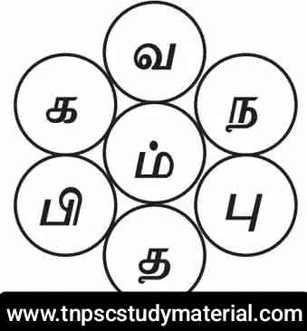 Class 6 Tamil Solution - Lesson 3.5 மெய் எழுத்து நடுவில் அமையுமாறு சொற்களை உருவாக்க