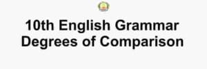 Samacheer Kalvi 10th English Grammar Degrees of Comparison